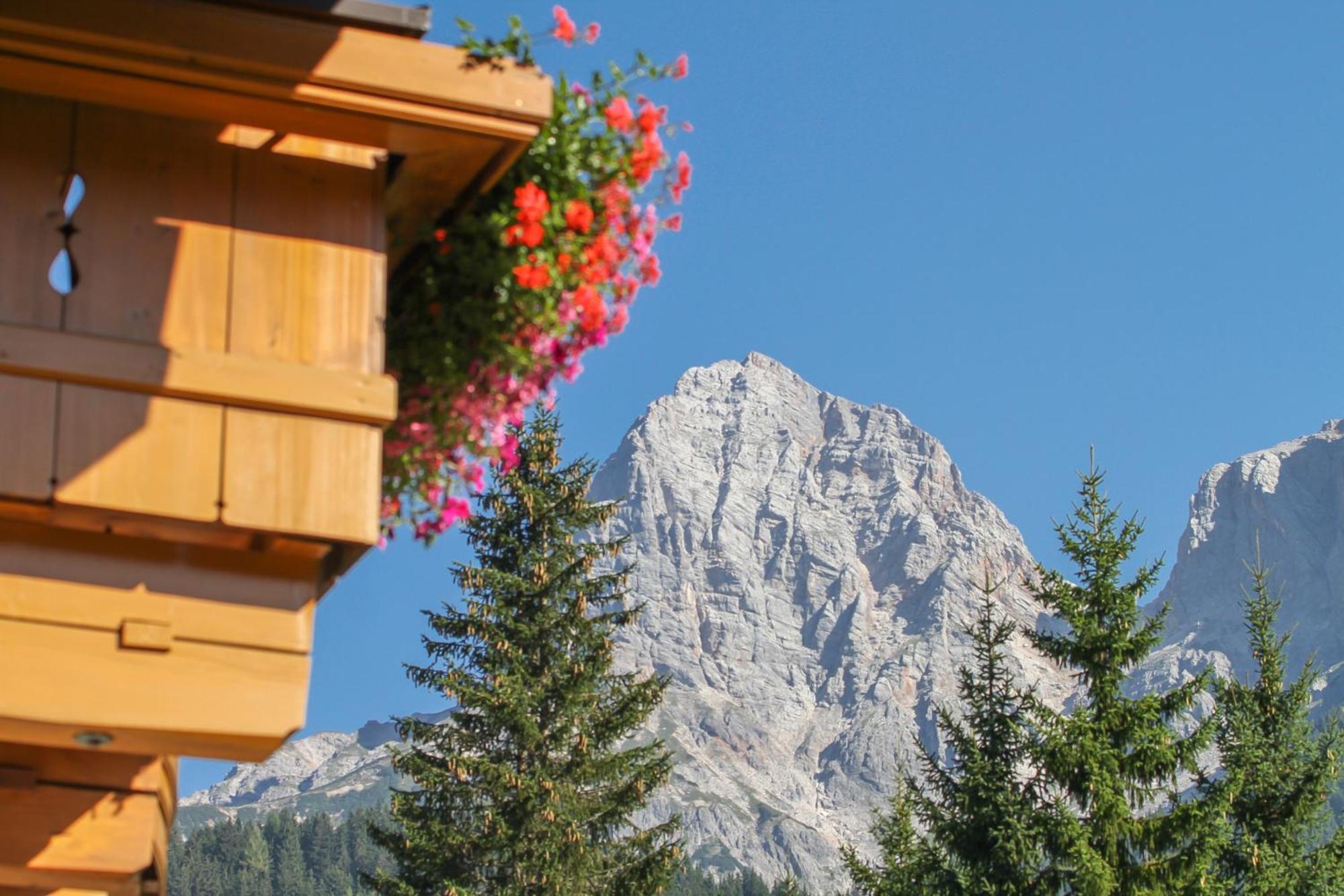 Apartmán Haus Bergliebe Maria Alm am Steinernen Meer Exteriér fotografie