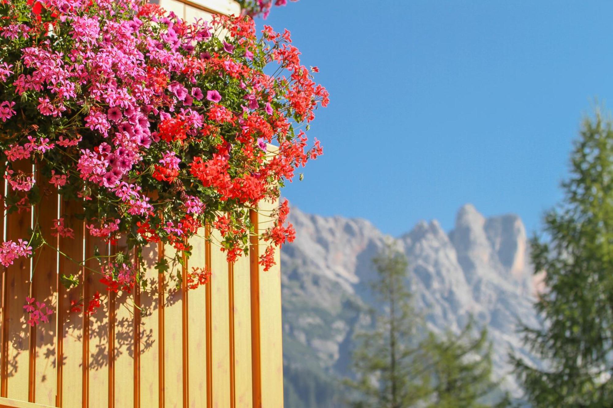 Apartmán Haus Bergliebe Maria Alm am Steinernen Meer Exteriér fotografie